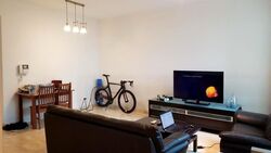 Amaryllis Ville (D11), Condominium #481941661